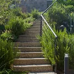 Salvia Opatija