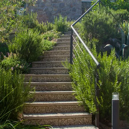 Salvia Abbazia